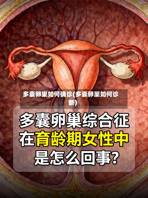 多囊卵巢如何确诊(多囊卵巢如何诊断)