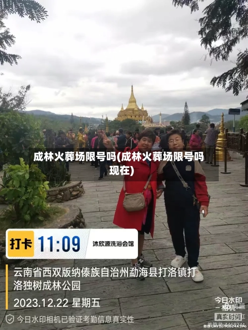 成林火葬场限号吗(成林火葬场限号吗现在)