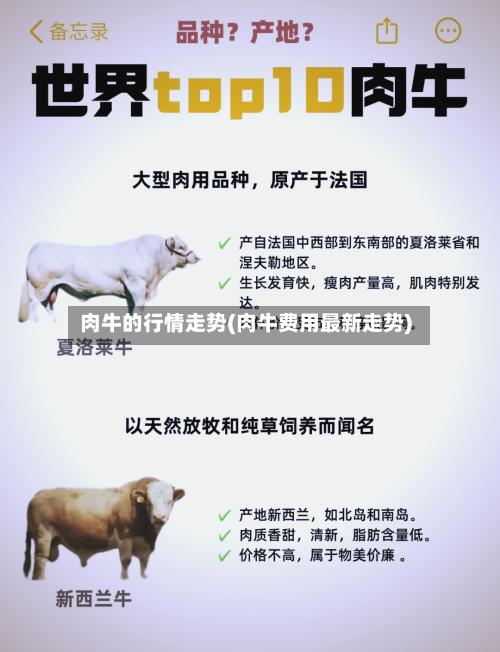 肉牛的行情走势(肉牛费用最新走势)