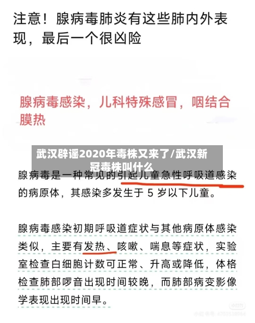 武汉辟谣2020年毒株又来了/武汉新冠毒株叫什么