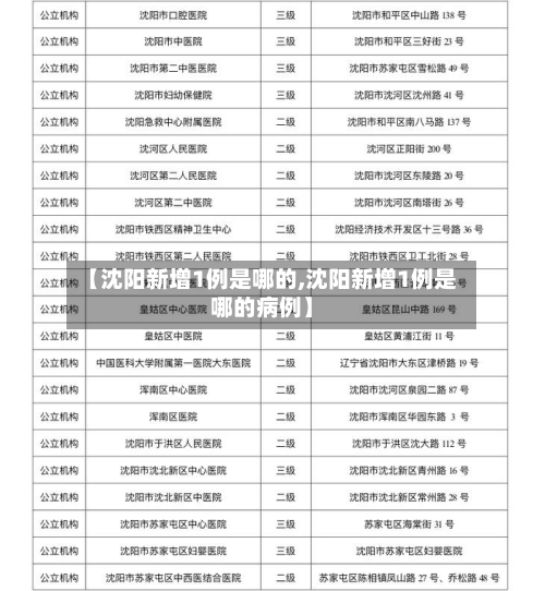 【沈阳新增1例是哪的,沈阳新增1例是哪的病例】