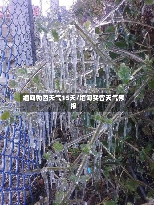 缅甸勃固天气15天/缅甸实皆天气预报
