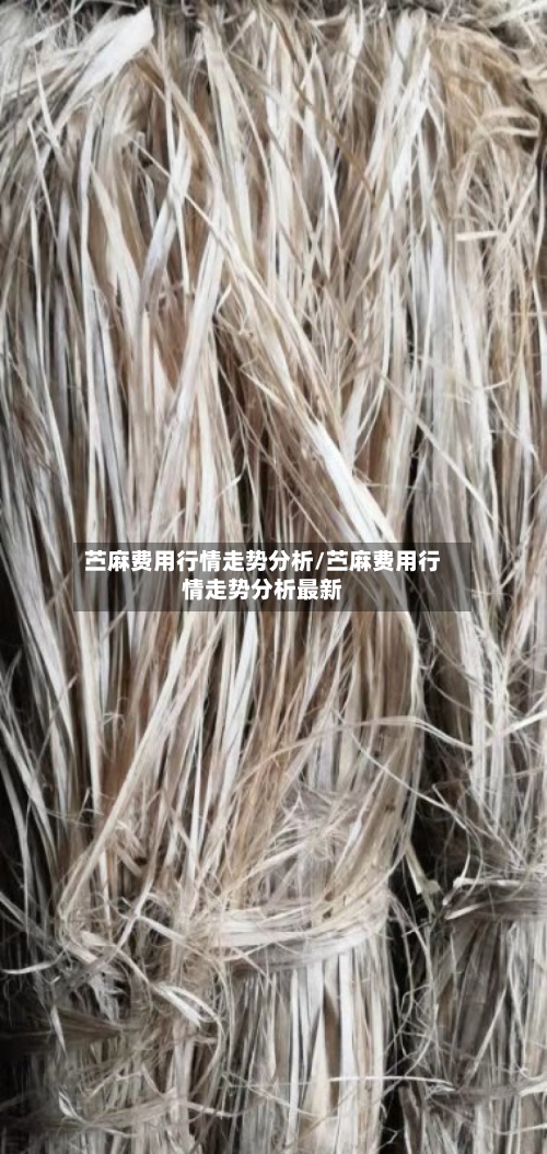 苎麻费用行情走势分析/苎麻费用行情走势分析最新
