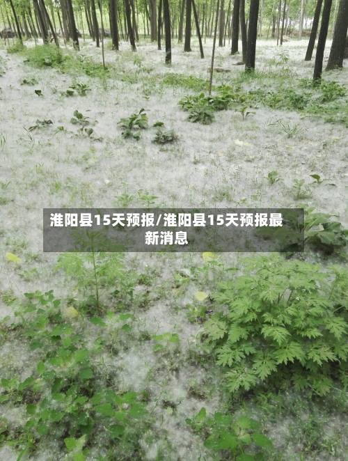 淮阳县15天预报/淮阳县15天预报最新消息