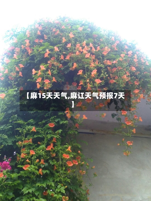 【麻15天天气,麻讧天气预报7天】