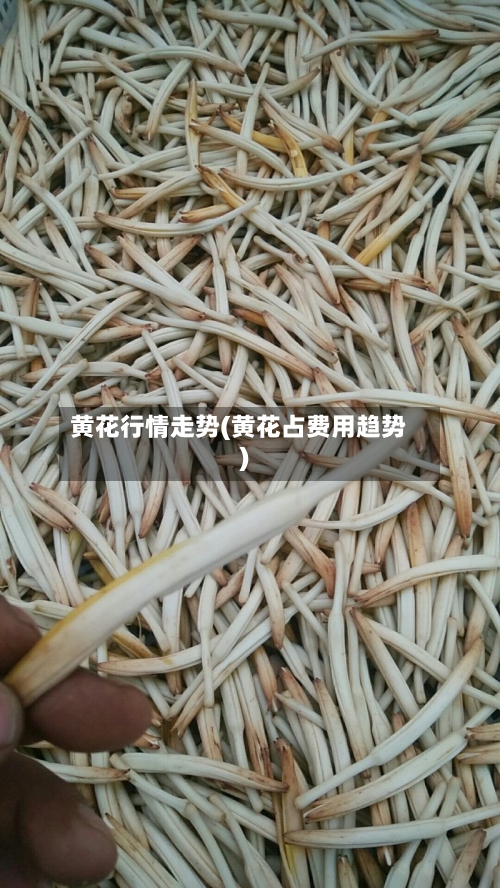 黄花行情走势(黄花占费用趋势)