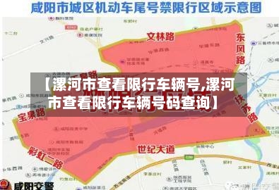 【漯河市查看限行车辆号,漯河市查看限行车辆号码查询】