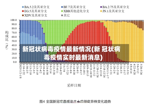 新冠状病毒疫情最新情况(新 冠状病毒疫情实时最新消息)