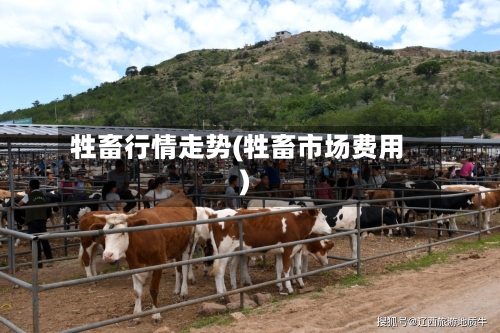 牲畜行情走势(牲畜市场费用)