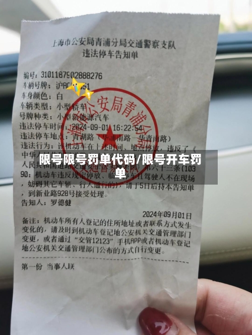 限号限号罚单代码/限号开车罚单