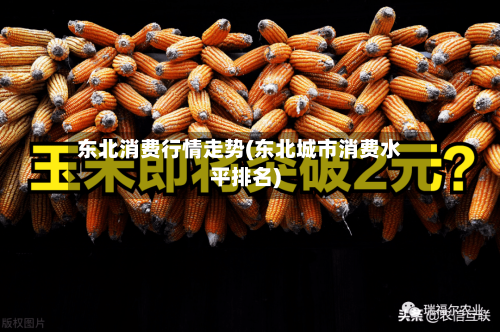 东北消费行情走势(东北城市消费水平排名)