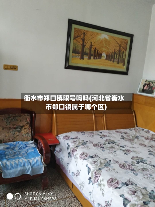 衡水市郑口镇限号吗吗(河北省衡水市郑口镇属于哪个区)