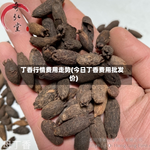 丁香行情费用走势(今日丁香费用批发价)