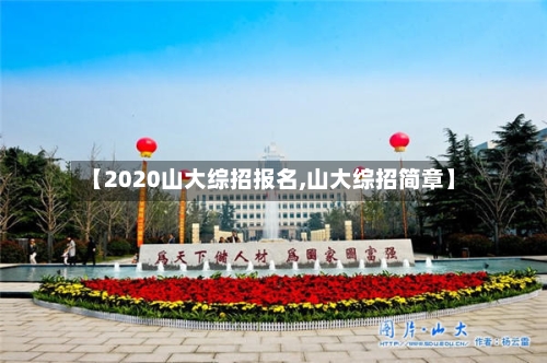 【2020山大综招报名,山大综招简章】