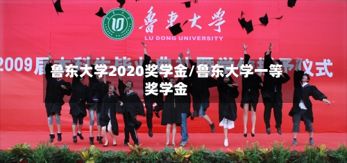 鲁东大学2020奖学金/鲁东大学一等奖学金
