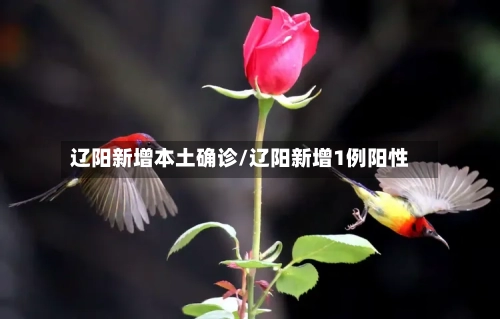 辽阳新增本土确诊/辽阳新增1例阳性