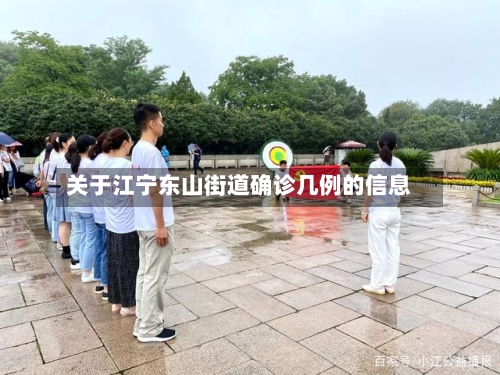 关于江宁东山街道确诊几例的信息