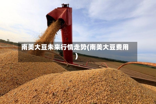 南美大豆未来行情走势(南美大豆费用)
