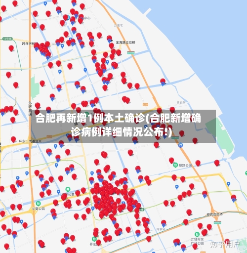 合肥再新增1例本土确诊(合肥新增确诊病例详细情况公布!)