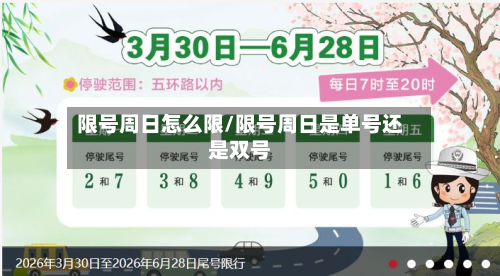 限号周日怎么限/限号周日是单号还是双号