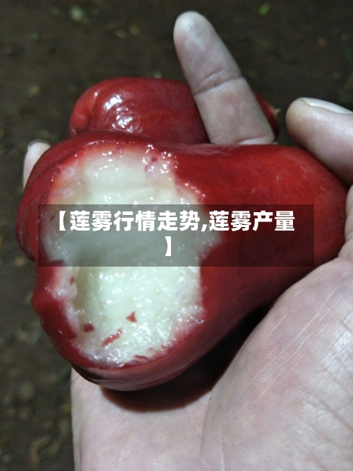 【莲雾行情走势,莲雾产量】