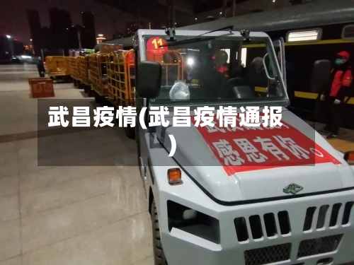 武昌疫情(武昌疫情通报)