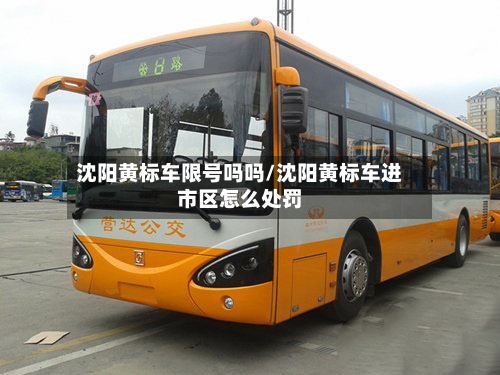 沈阳黄标车限号吗吗/沈阳黄标车进市区怎么处罚