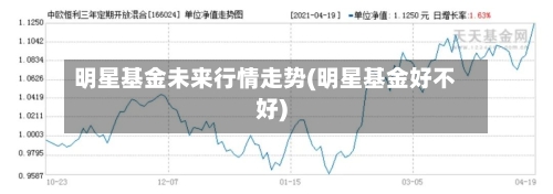 明星基金未来行情走势(明星基金好不好)