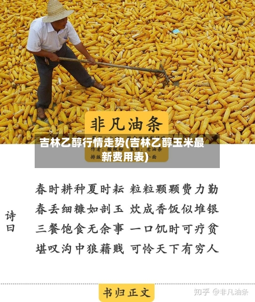 吉林乙醇行情走势(吉林乙醇玉米最新费用表)