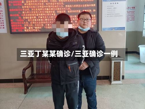 三亚丁某某确诊/三亚确诊一例