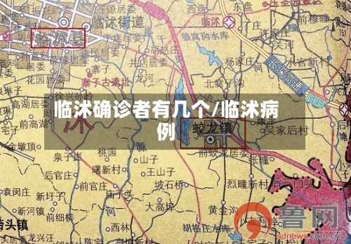 临沭确诊者有几个/临沭病例