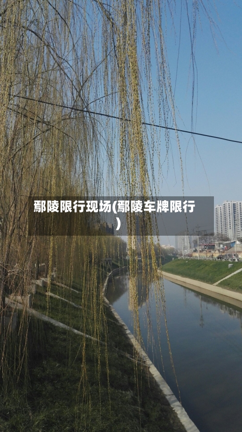 鄢陵限行现场(鄢陵车牌限行)
