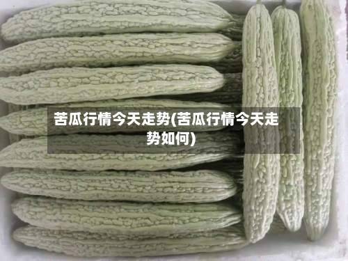 苦瓜行情今天走势(苦瓜行情今天走势如何)