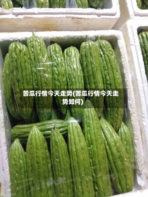 苦瓜行情今天走势(苦瓜行情今天走势如何)