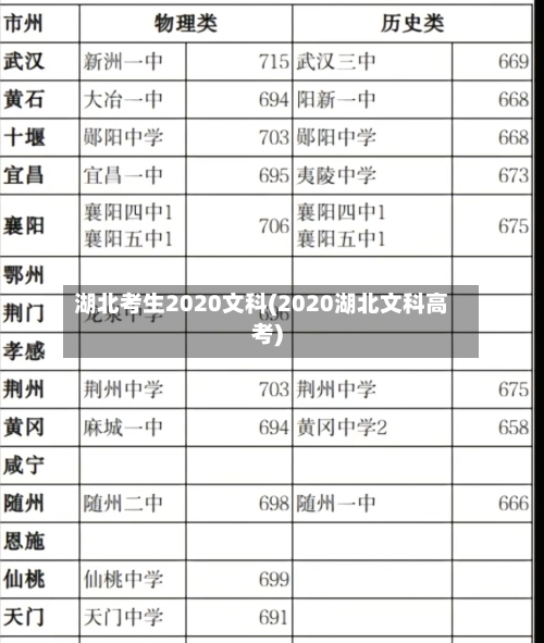 湖北考生2020文科(2020湖北文科高考)