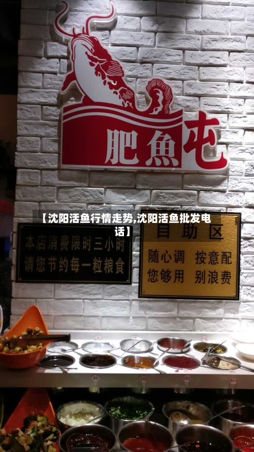 【沈阳活鱼行情走势,沈阳活鱼批发电话】
