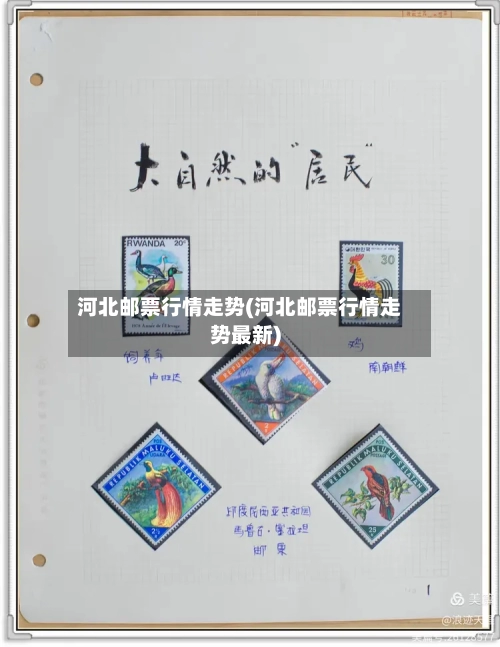 河北邮票行情走势(河北邮票行情走势最新)