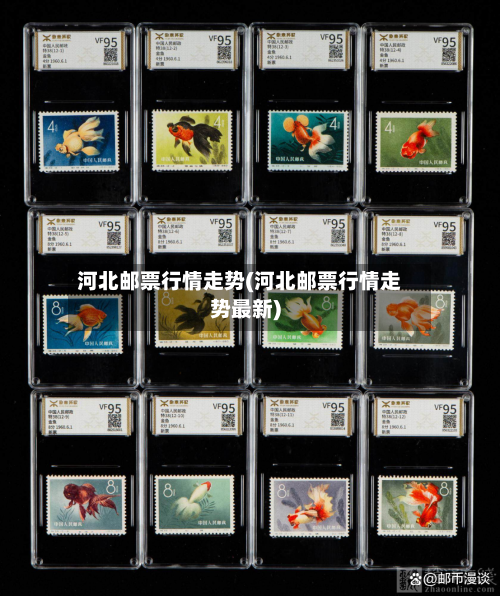 河北邮票行情走势(河北邮票行情走势最新)