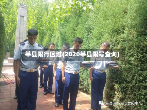 莘县限行区域(2020莘县限号查询)