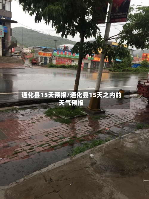 通化县15天预报/通化县15天之内的天气预报
