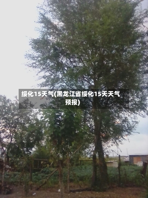 绥化15天气(黑龙江省绥化15天天气预报)