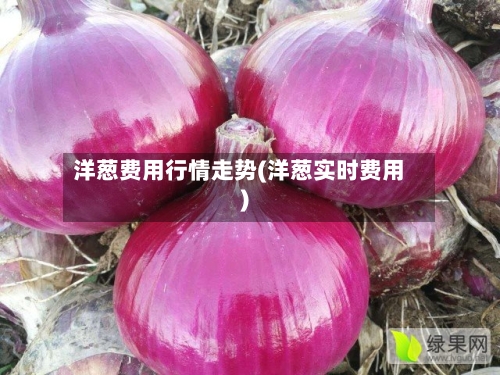 洋葱费用行情走势(洋葱实时费用)