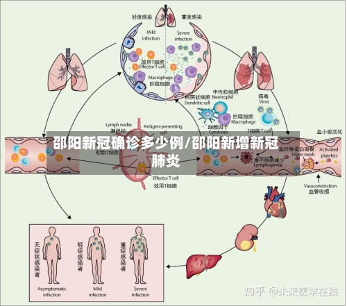 邵阳新冠确诊多少例/邵阳新增新冠肺炎
