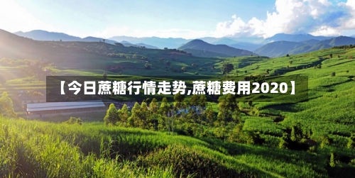 【今日蔗糖行情走势,蔗糖费用2020】