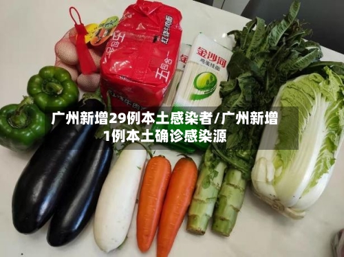 广州新增29例本土感染者/广州新增1例本土确诊感染源
