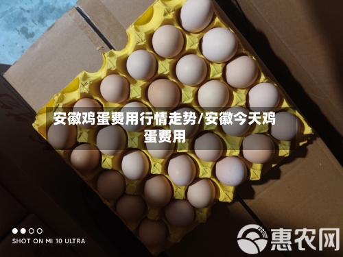 安徽鸡蛋费用行情走势/安徽今天鸡蛋费用