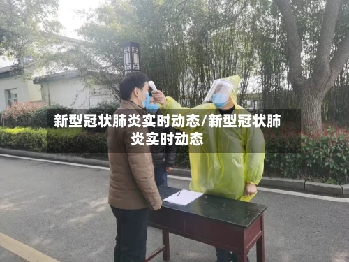 新型冠状肺炎实时动态/新型冠状肺炎实时动态