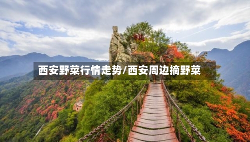 西安野菜行情走势/西安周边摘野菜