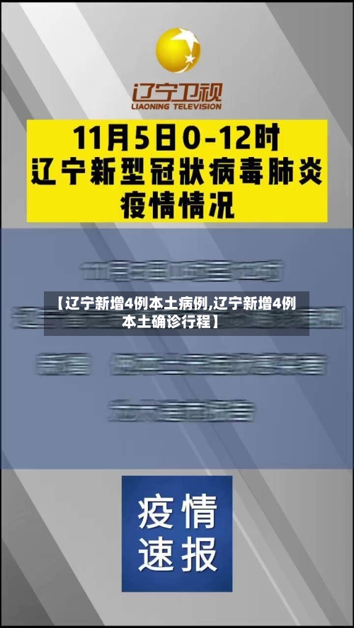 【辽宁新增4例本土病例,辽宁新增4例本土确诊行程】