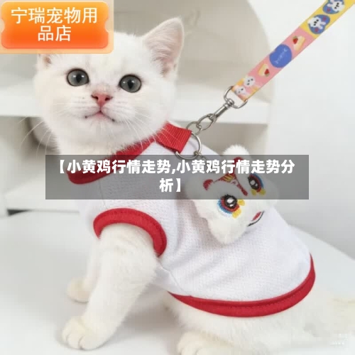 【小黄鸡行情走势,小黄鸡行情走势分析】